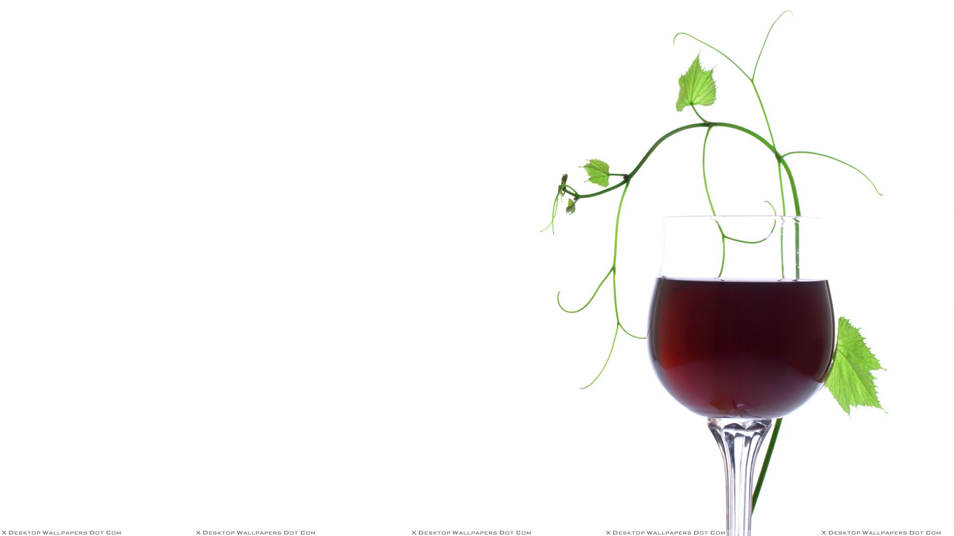 Red Wine With Green Leaves And White Background Wallpaper