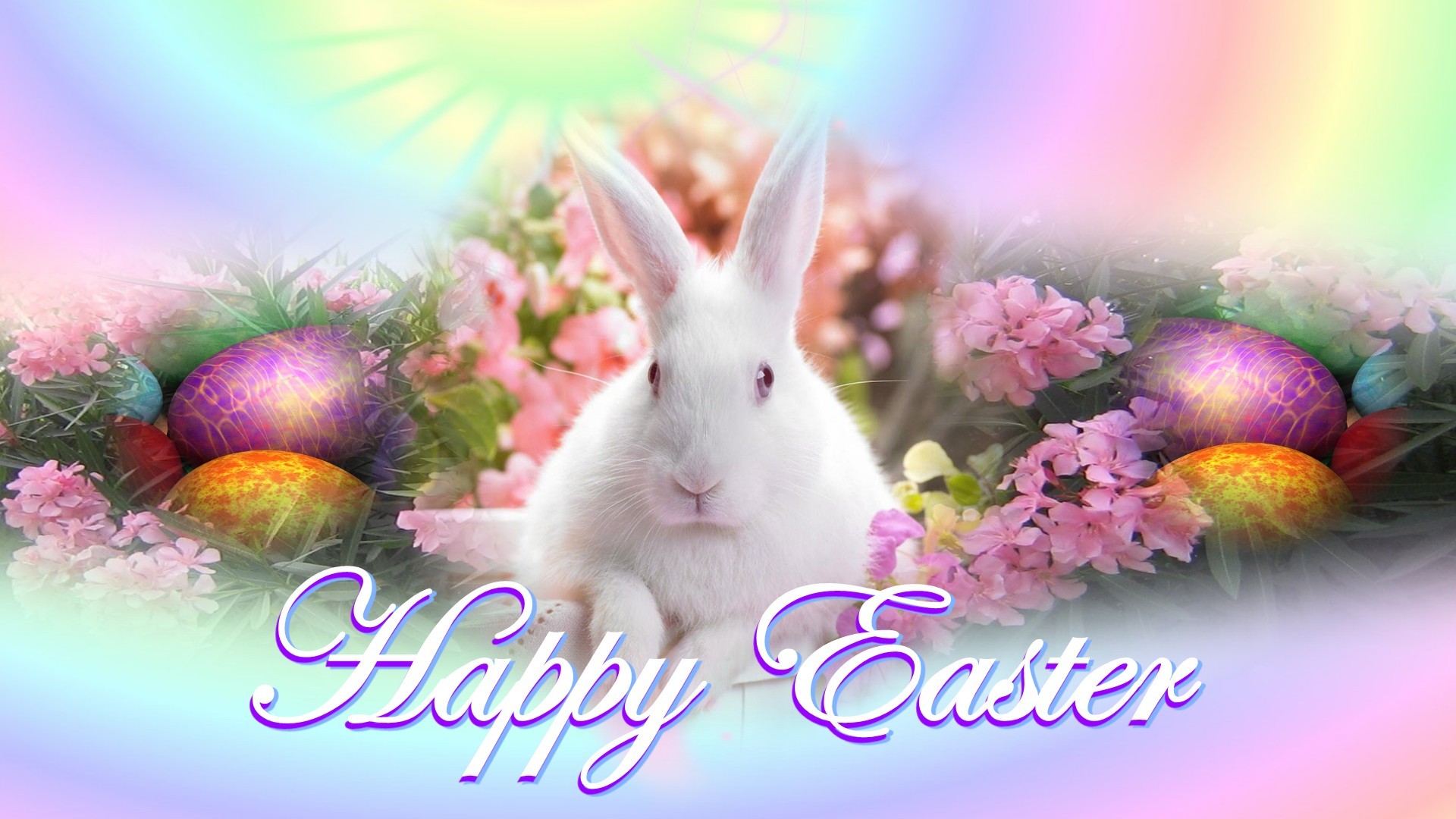 Easter Sunday Greetings Bunny Eggs Wallpaper Background