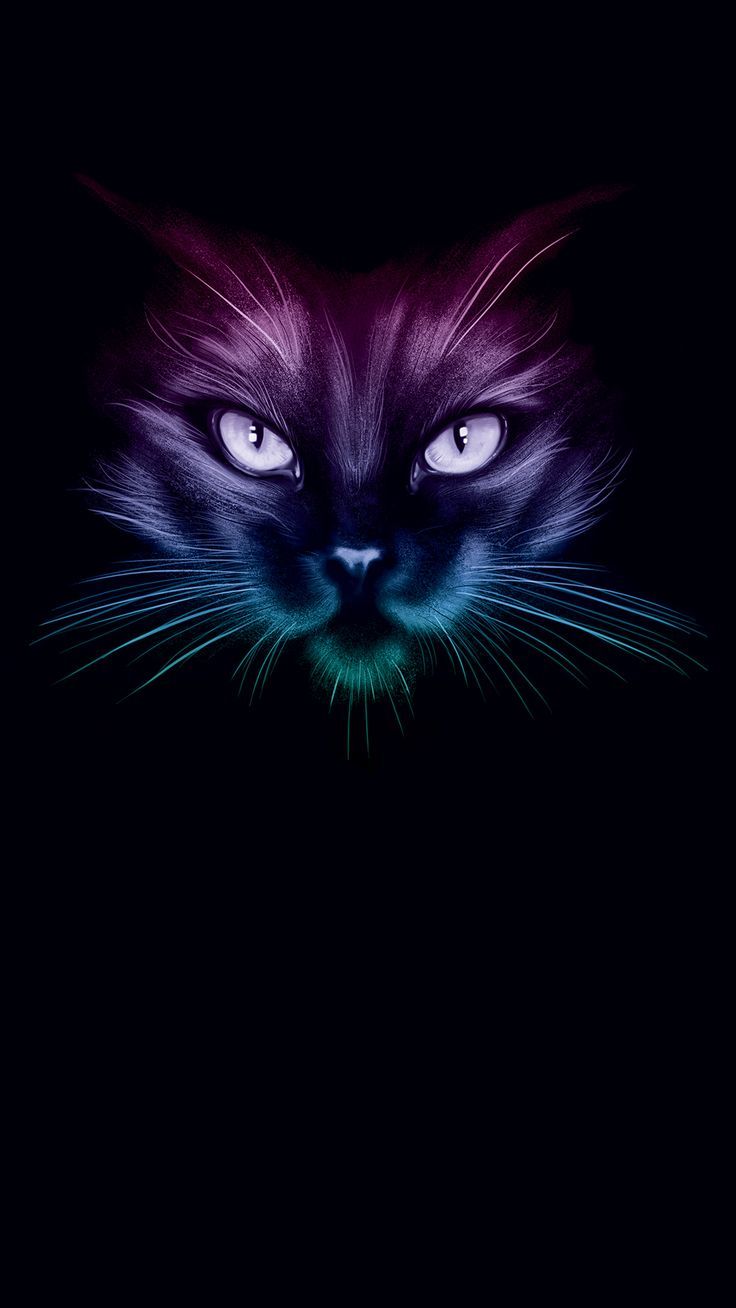 from the darkness Cat colors Black cat art Cat wallpaper 736x1308