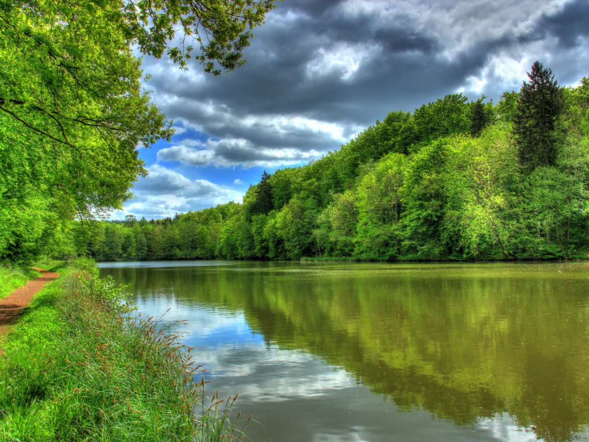 Green Forest River Way Hessen Desktop Pc And Mac Wallpaper
