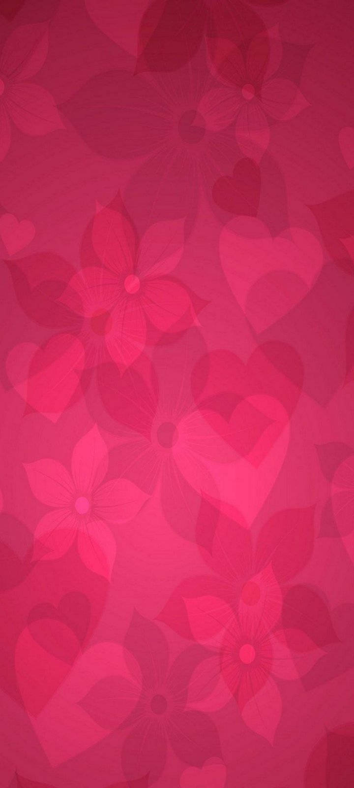Vivo Y20 Wallpaper