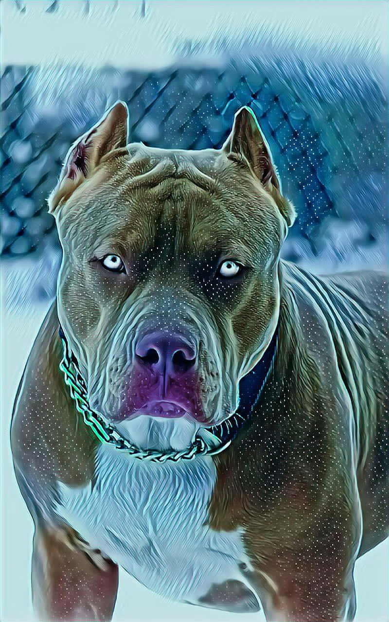 Dog Pitbull Wallpaper