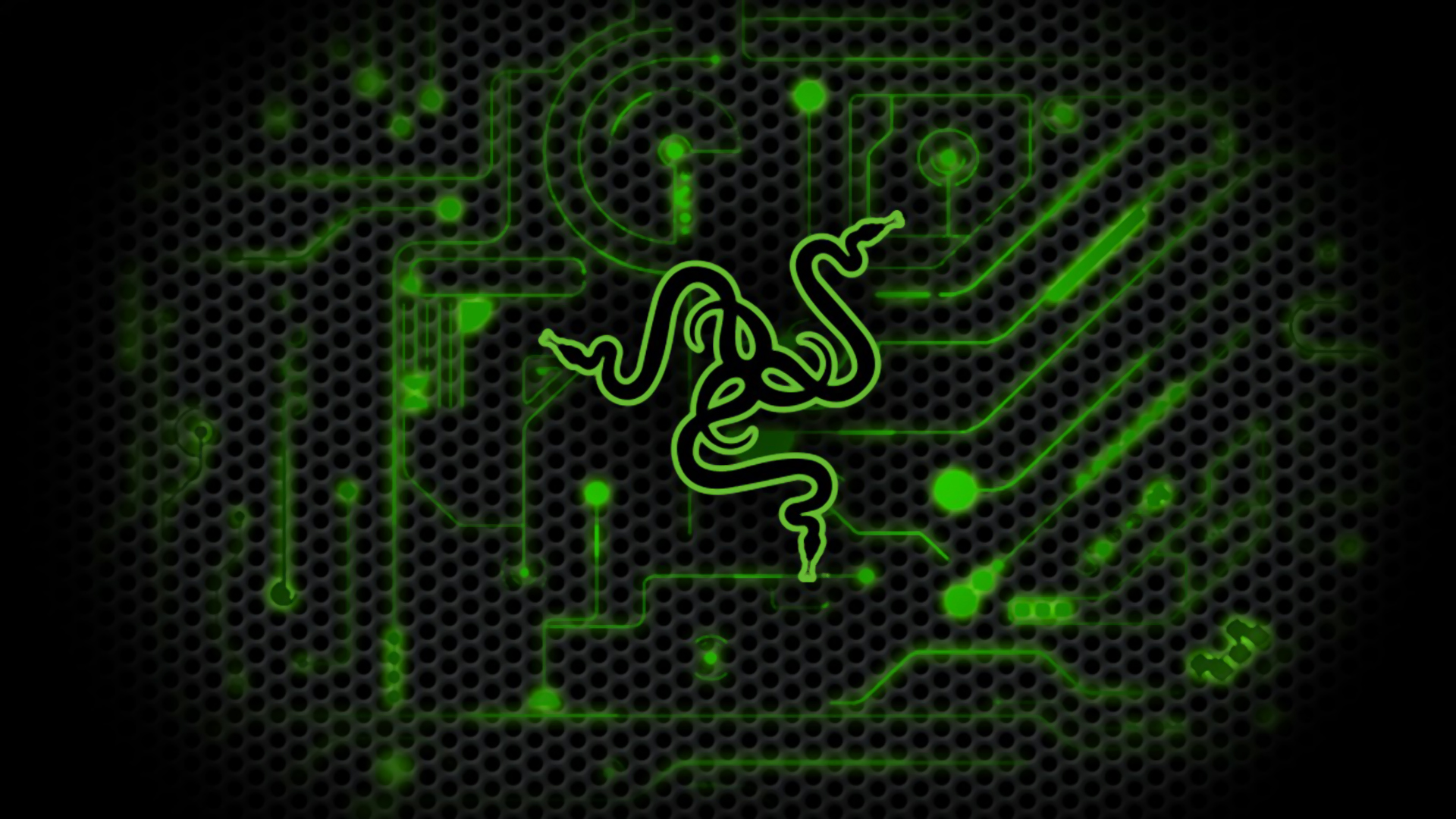 Razer Green Circuit Logo HD 1080p Wallpaper Patible For