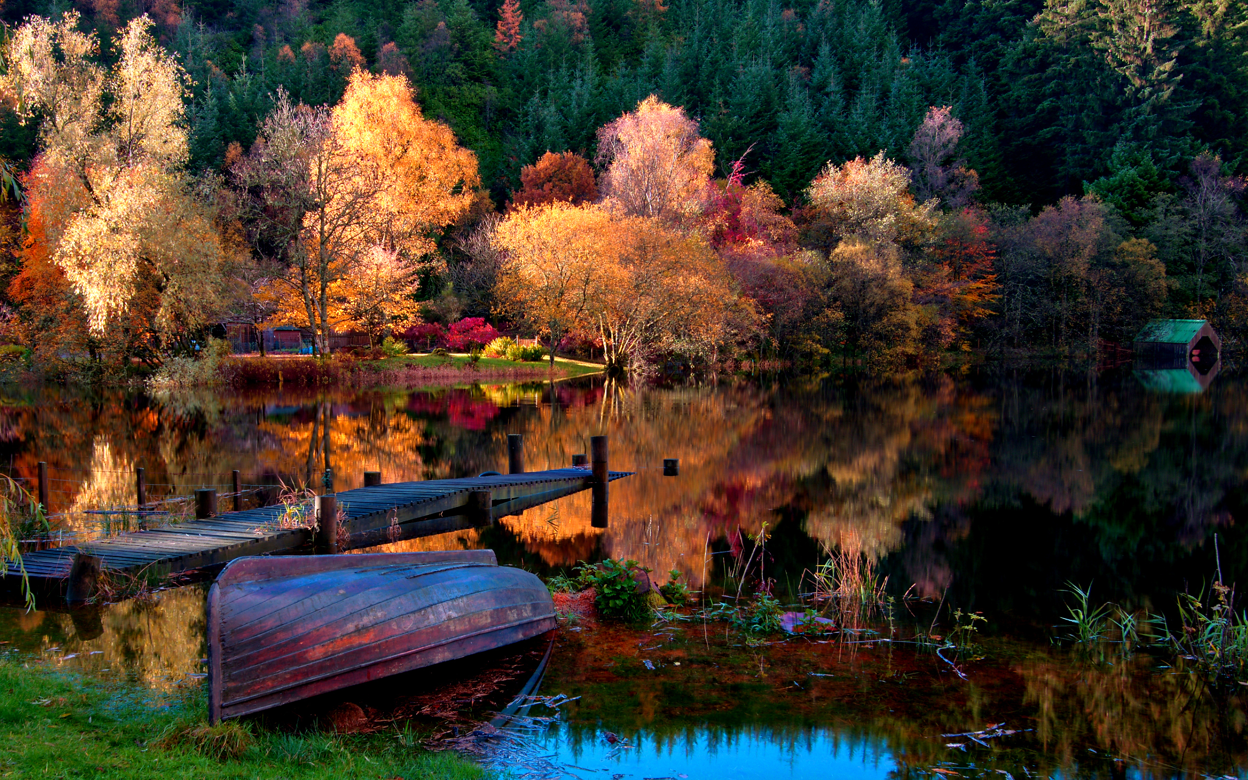 Landscape Marshes Autumn Trees Reflection Boat Forest Wallpaper