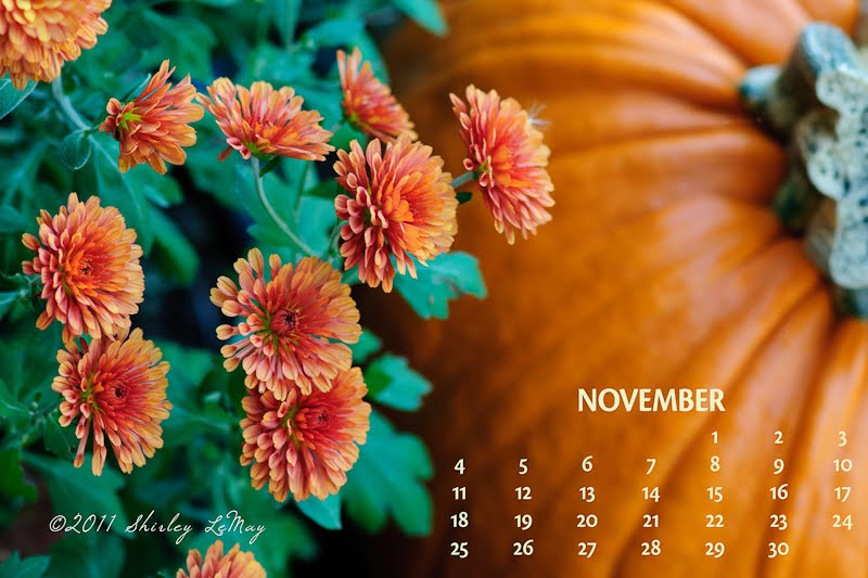 The Lens November Calendar For Your Desktop