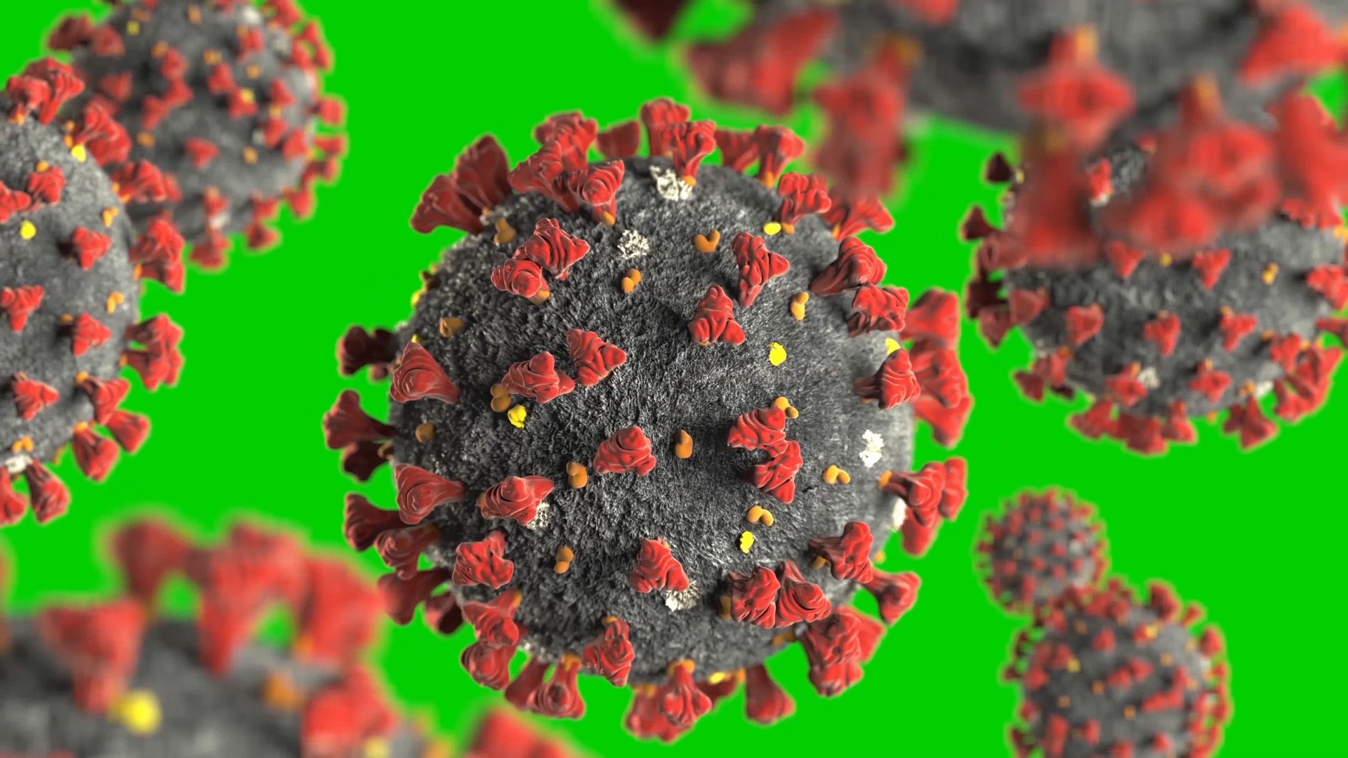 Coronavirus Wallpaper