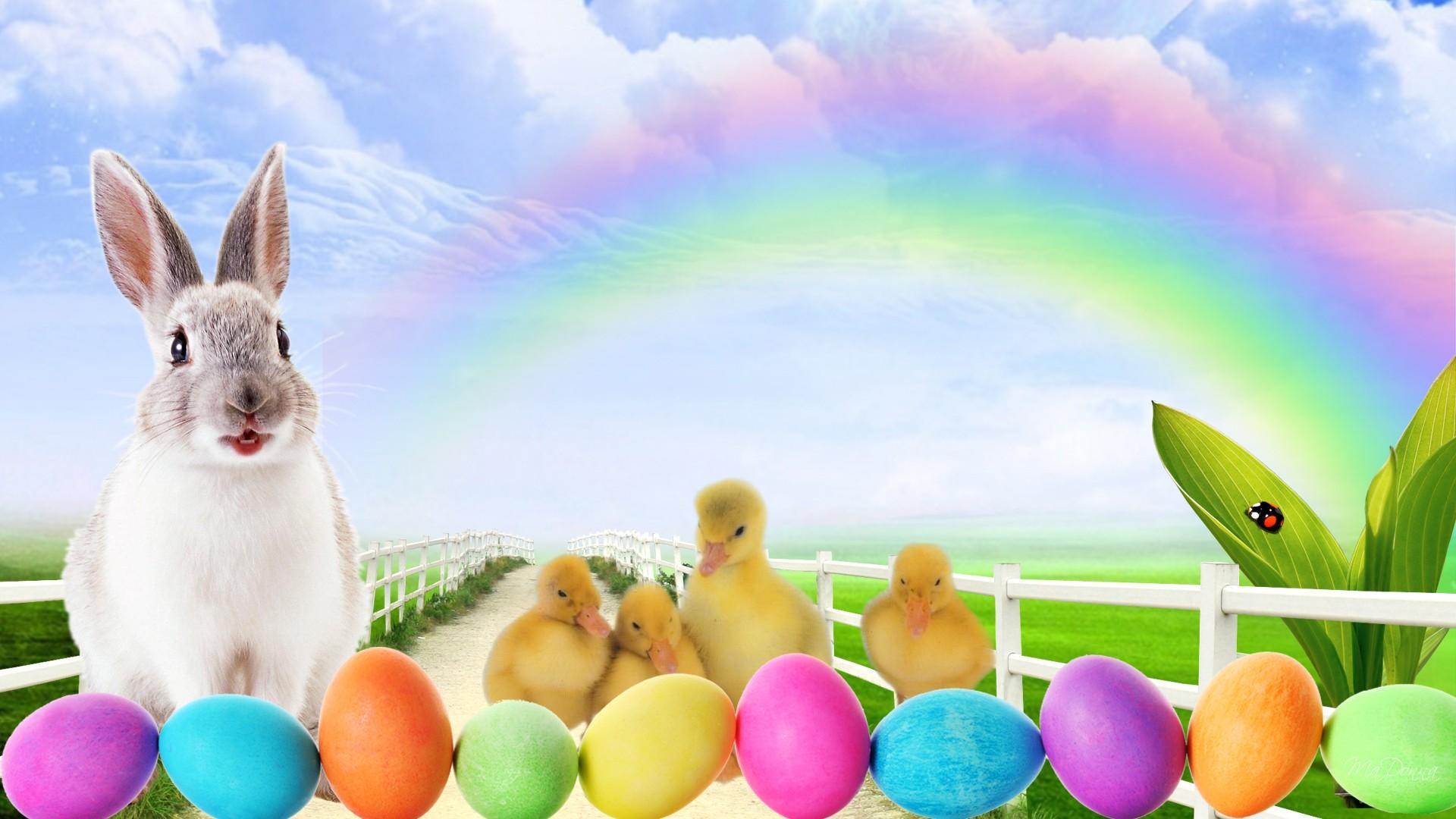Easter Bunny Backgrounds HD Easter Images