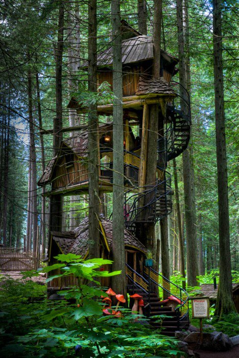 Tree House The Enchanted Forest Revelstoke Three Story