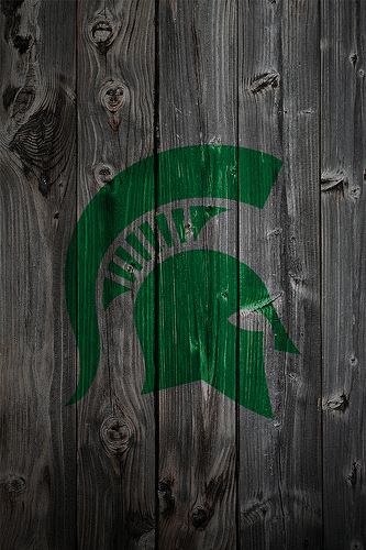 Michigan State Spartans Alternate Logo Wood iPhone Background A