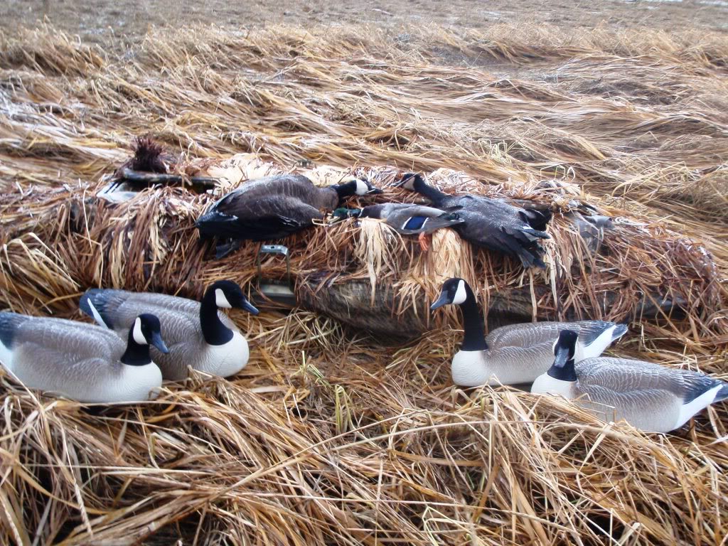 Goose Hunting Wallpaper Erich Hunter Posts