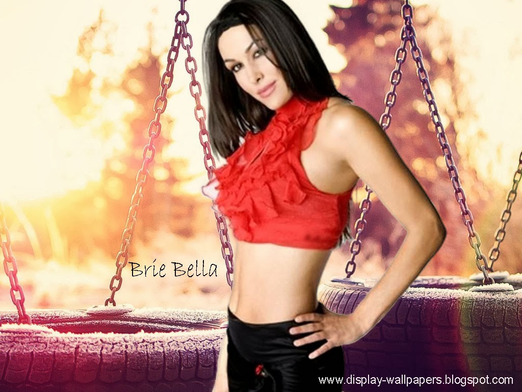 Wwe Brie Bella Wallpaper