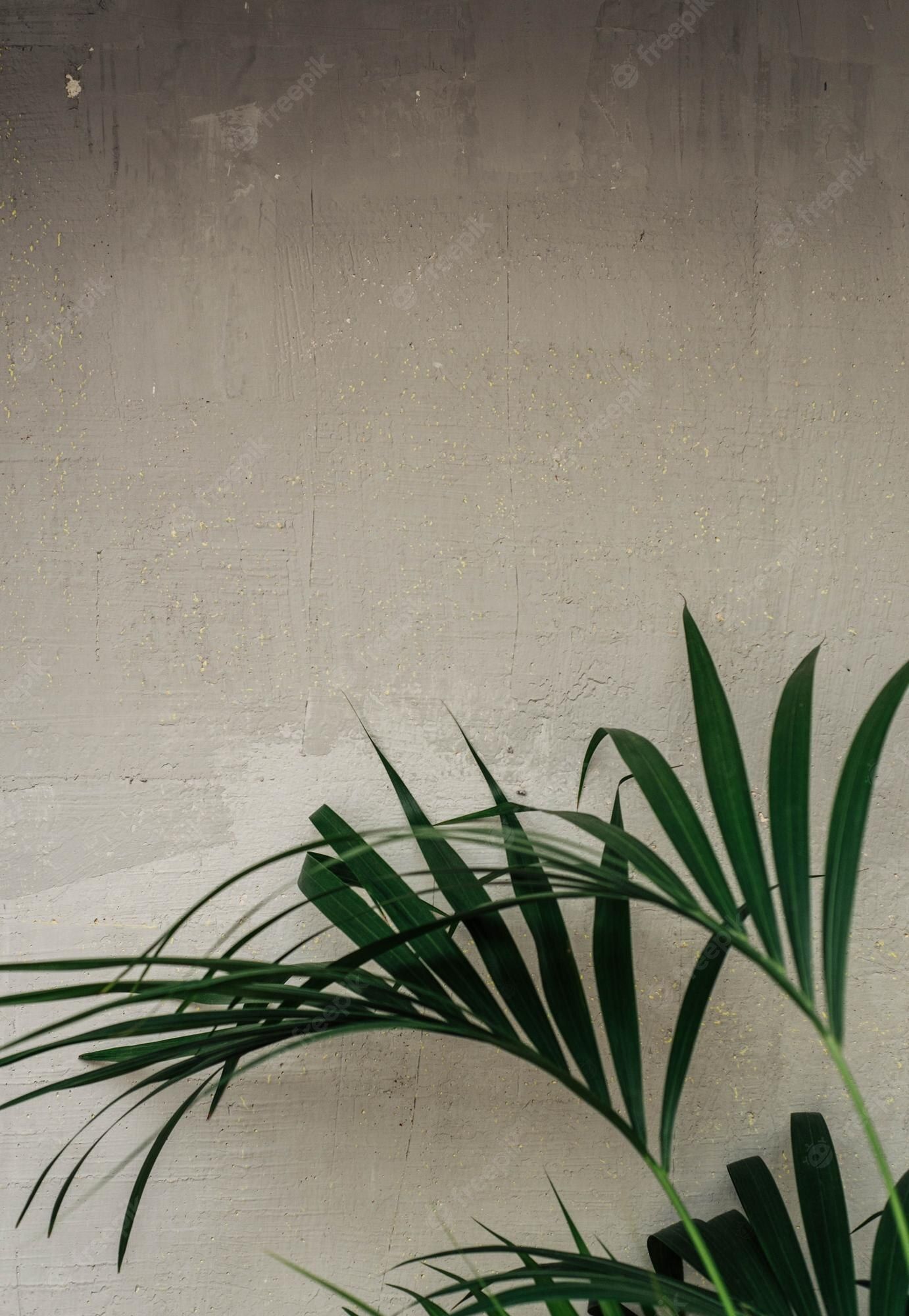 Plants Aesthetic Wallpaper Image By Transcb7