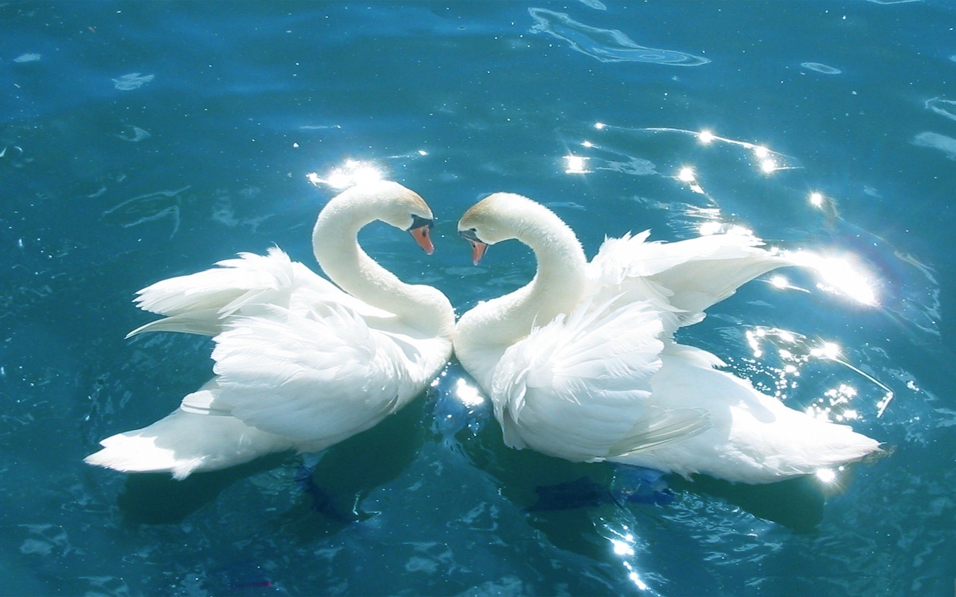 Nature Love Wallpaper
