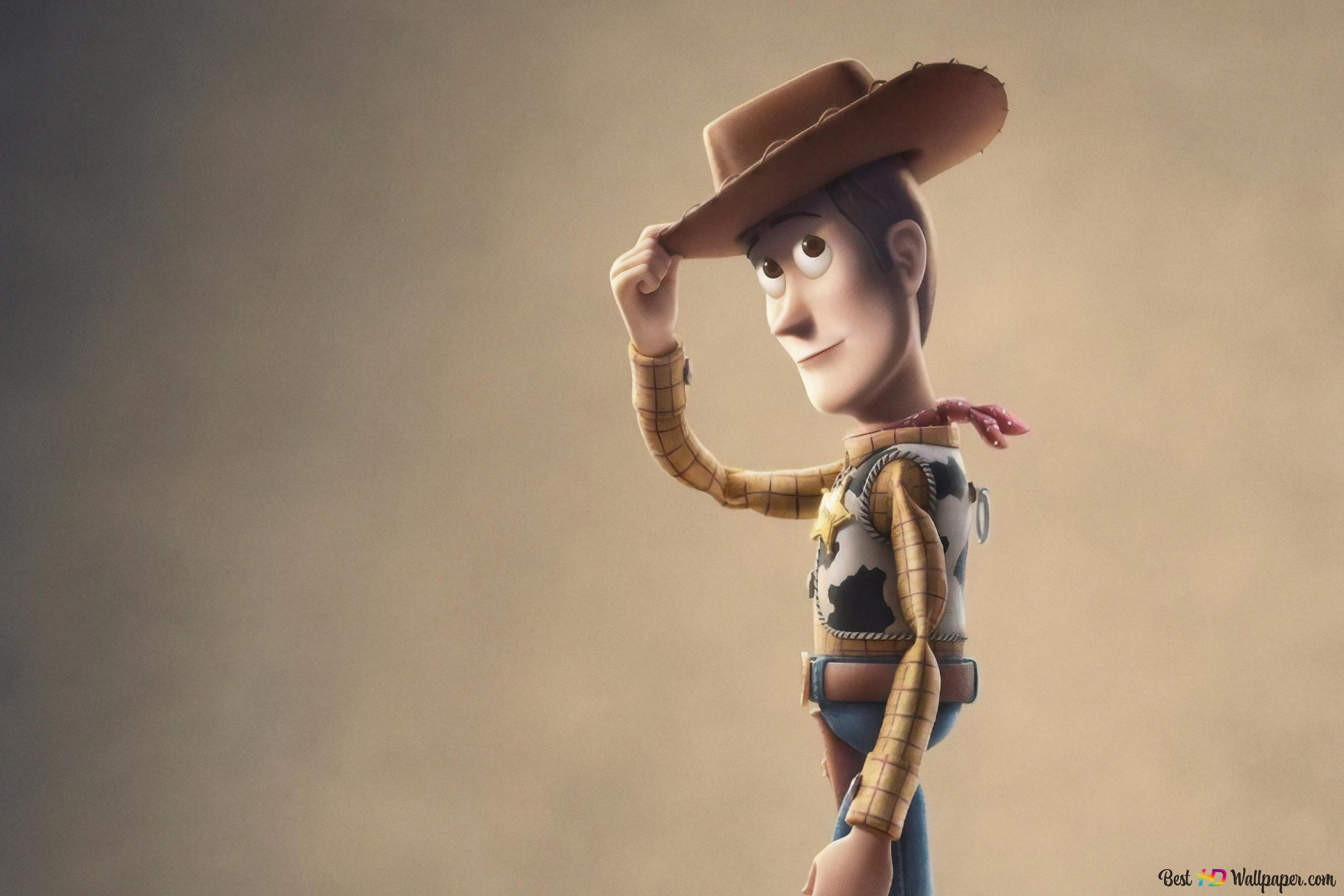 Woody 4k Wallpaper