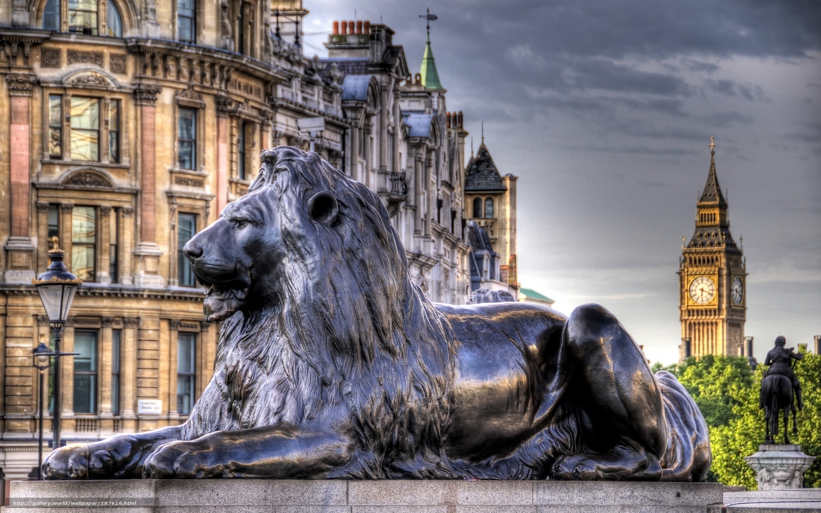 Wallpaper Trafalgar Square London England Lion Desktop