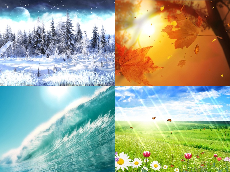 Four Seasons Animated Wallpaper Desktopanimated