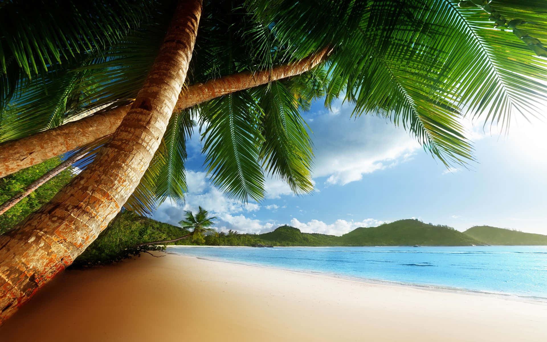 Caribbean Beach Wallpaper