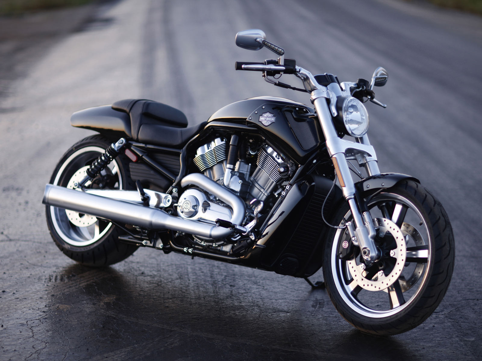 Harley Davidson Vrscf V Rod Muscle Picture