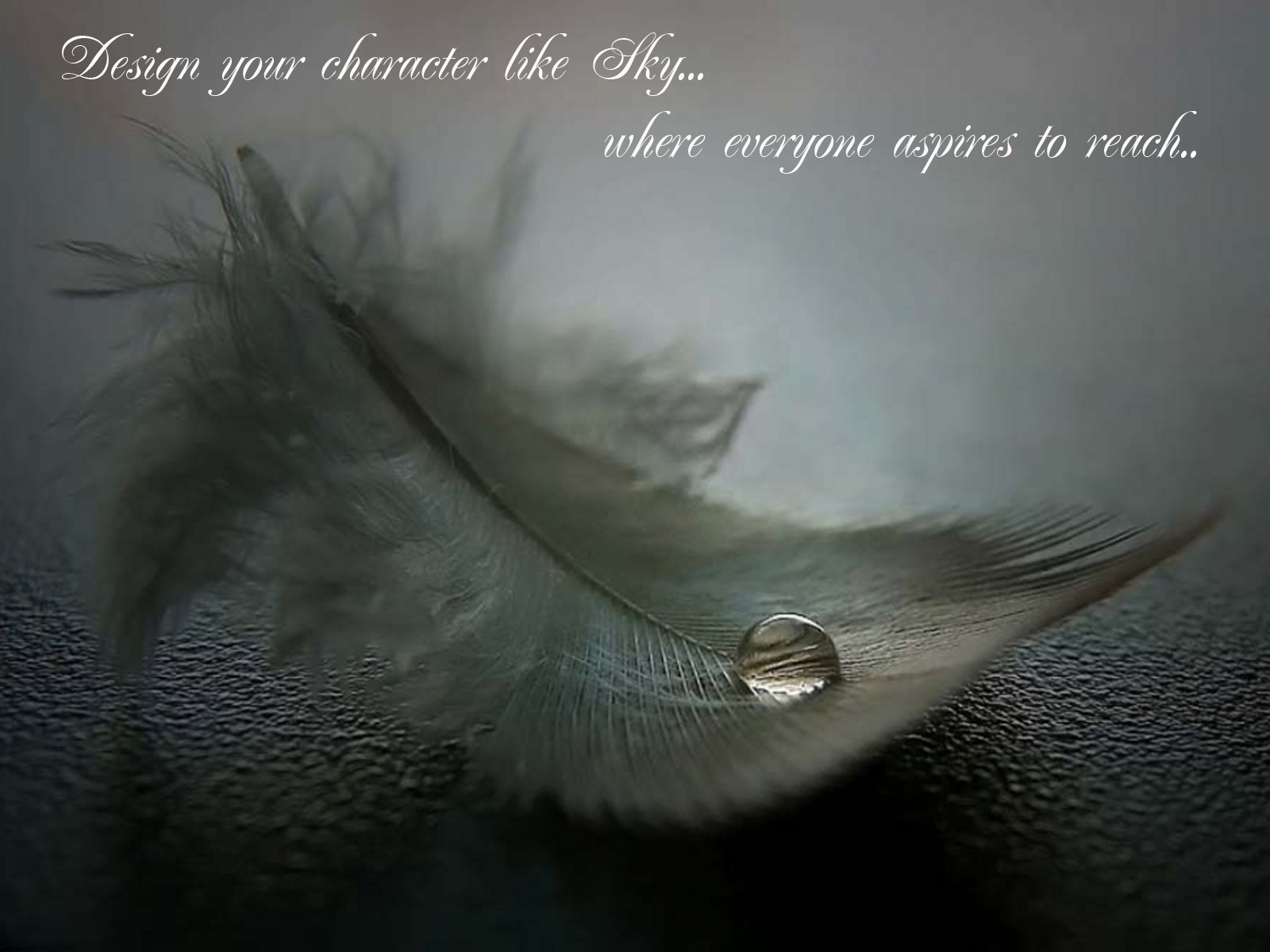 A single feather rests on a dark, textured surface, adorned with a glistening water droplet. This evocative image symbolizes aspiration and reaching for the sky, aligning with motivational themes
