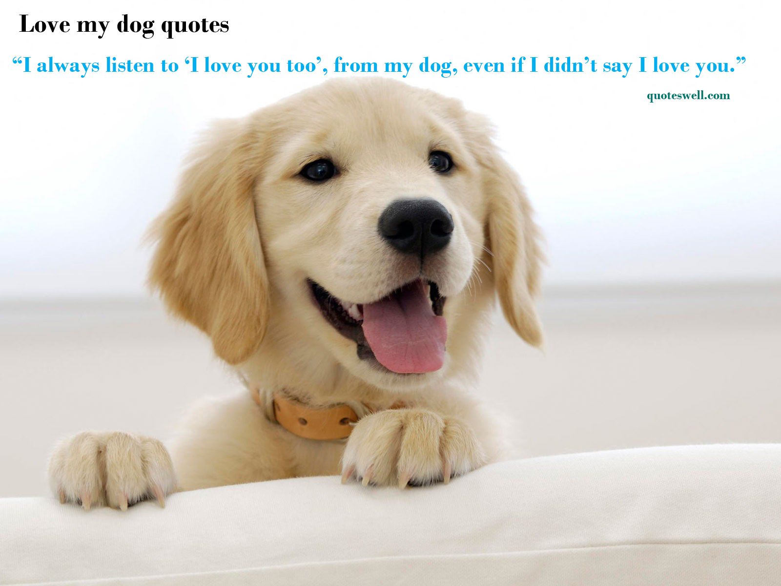 Sat Mar Dog Quotes Desktop Wallpaper