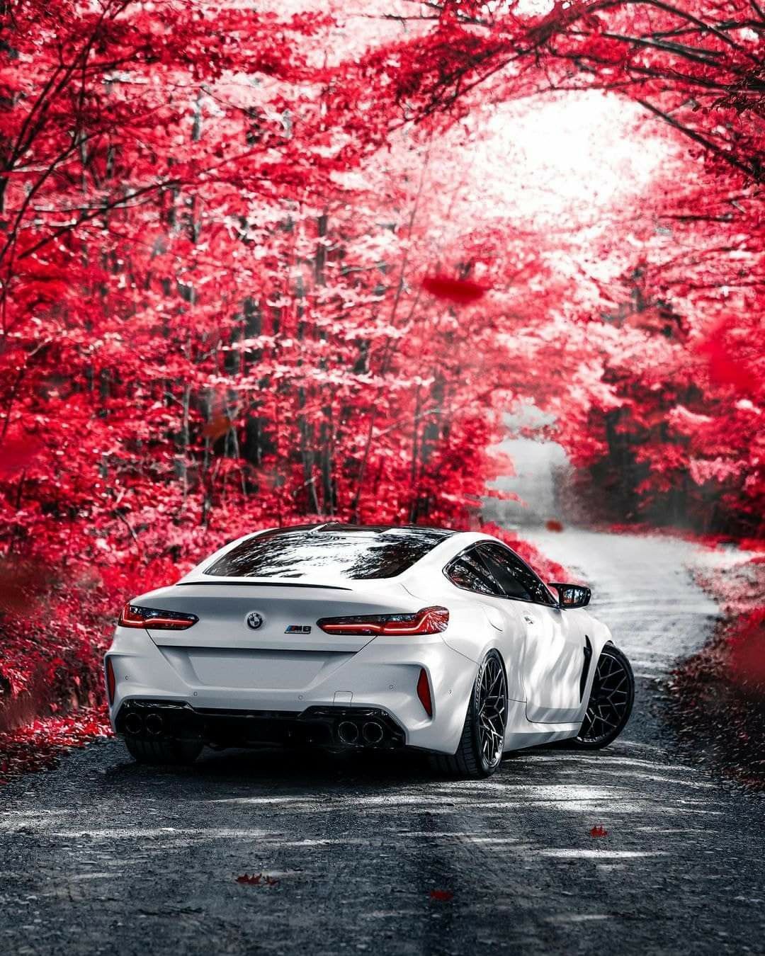 Sports Car Price Cars Exotic Cool Wallpaper