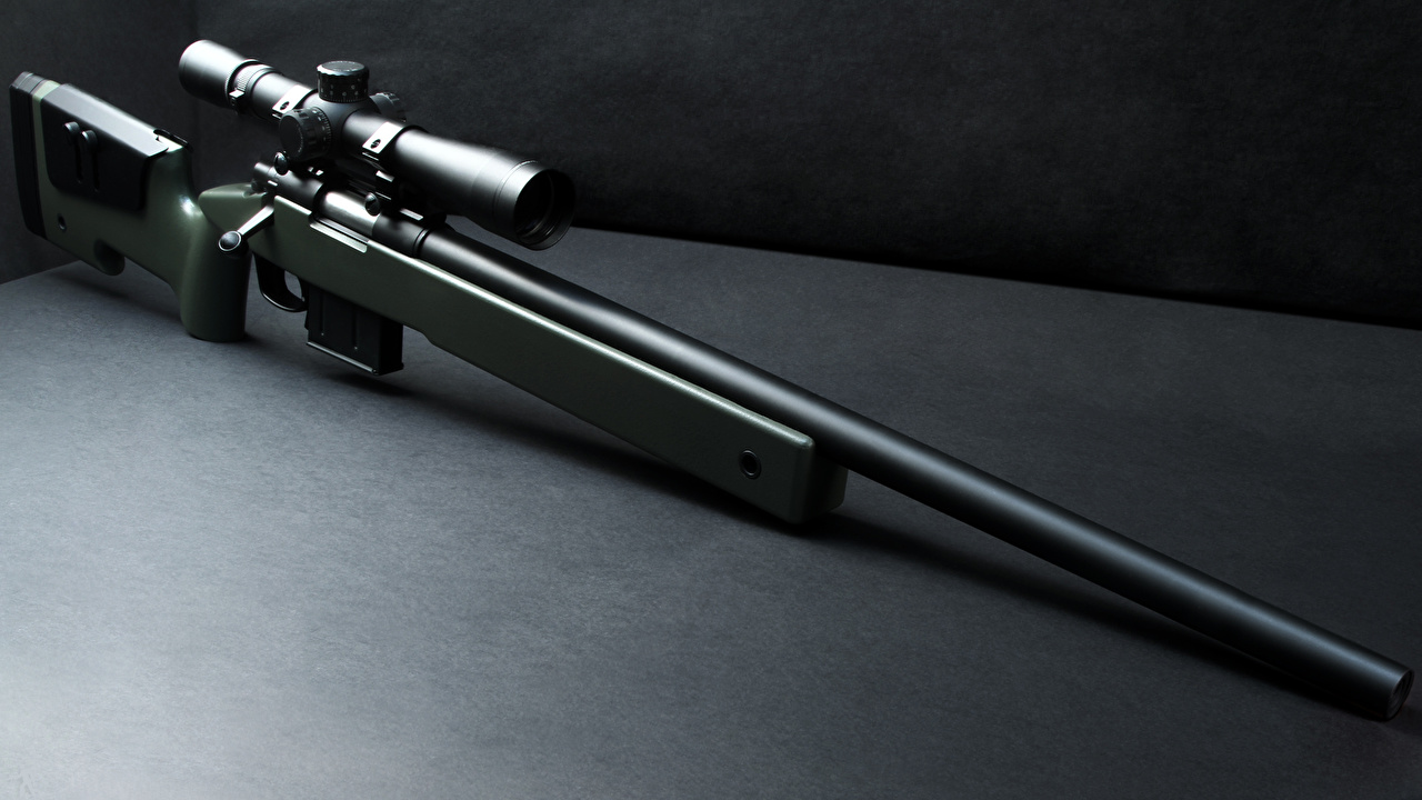 Picture Sniper Rifle Ares M40a5 Closeup Army