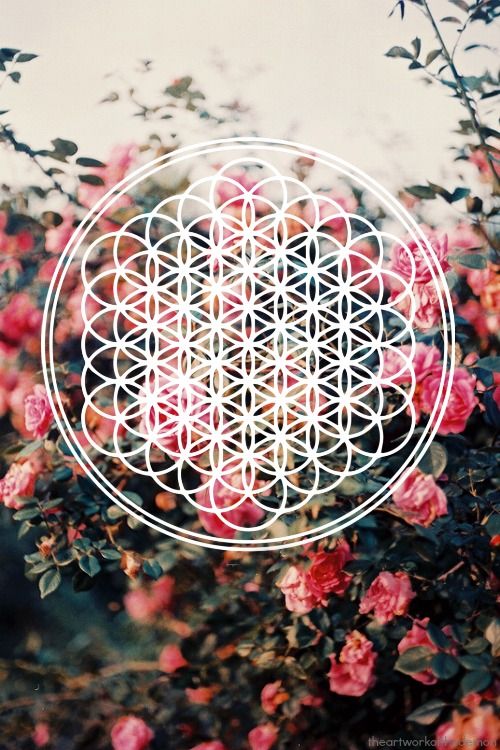 Flower Of Life Found Myself A Good Background Band Wallpaper