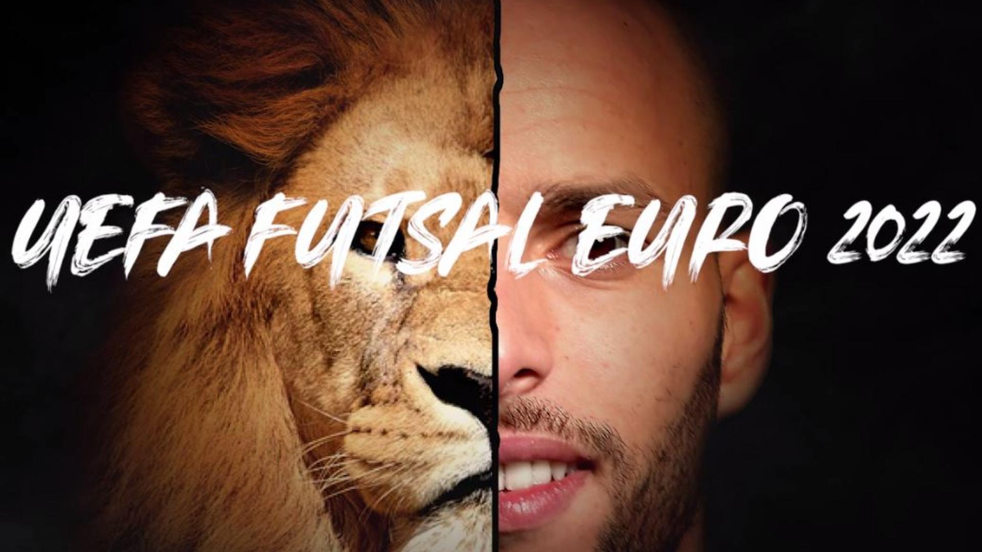 Knvb Official Candidate For Uefa Futsal Euro