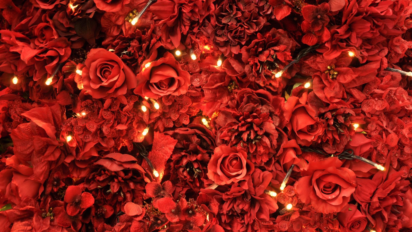 Red Roses And Lights HD Aesthetic Wallpaper