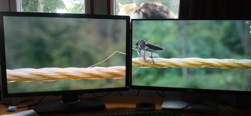Multiple Monitors Stretch Wallpaper Across Screens Of Different Dot