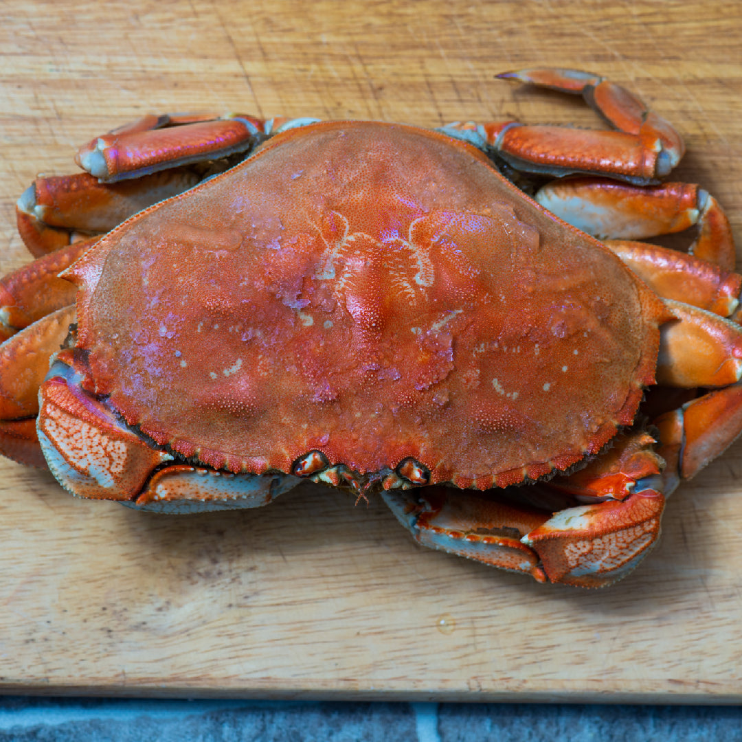 Dungeness Crab Season Wallpaper