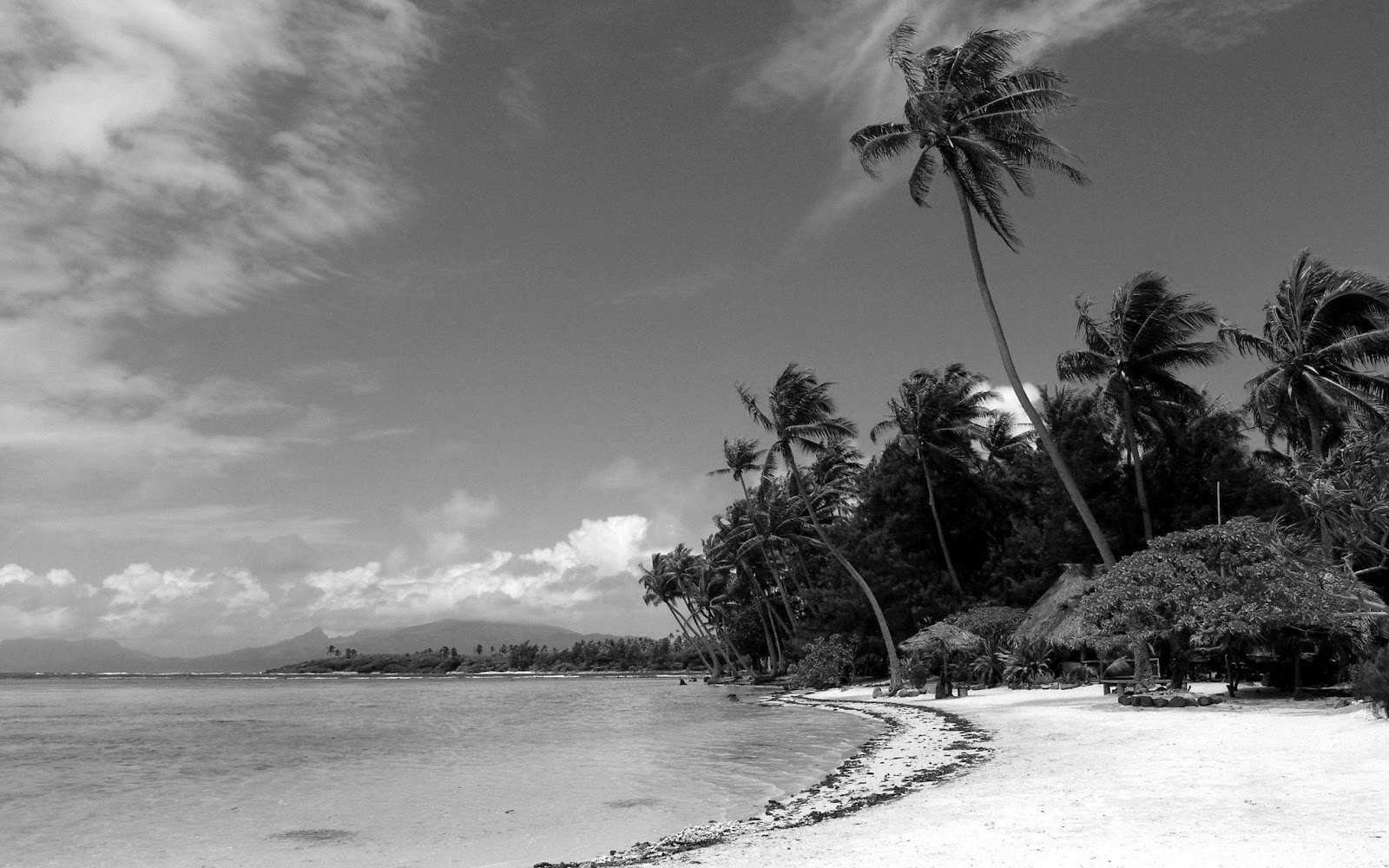 Black And White Wallpaper Beach Landscape HD