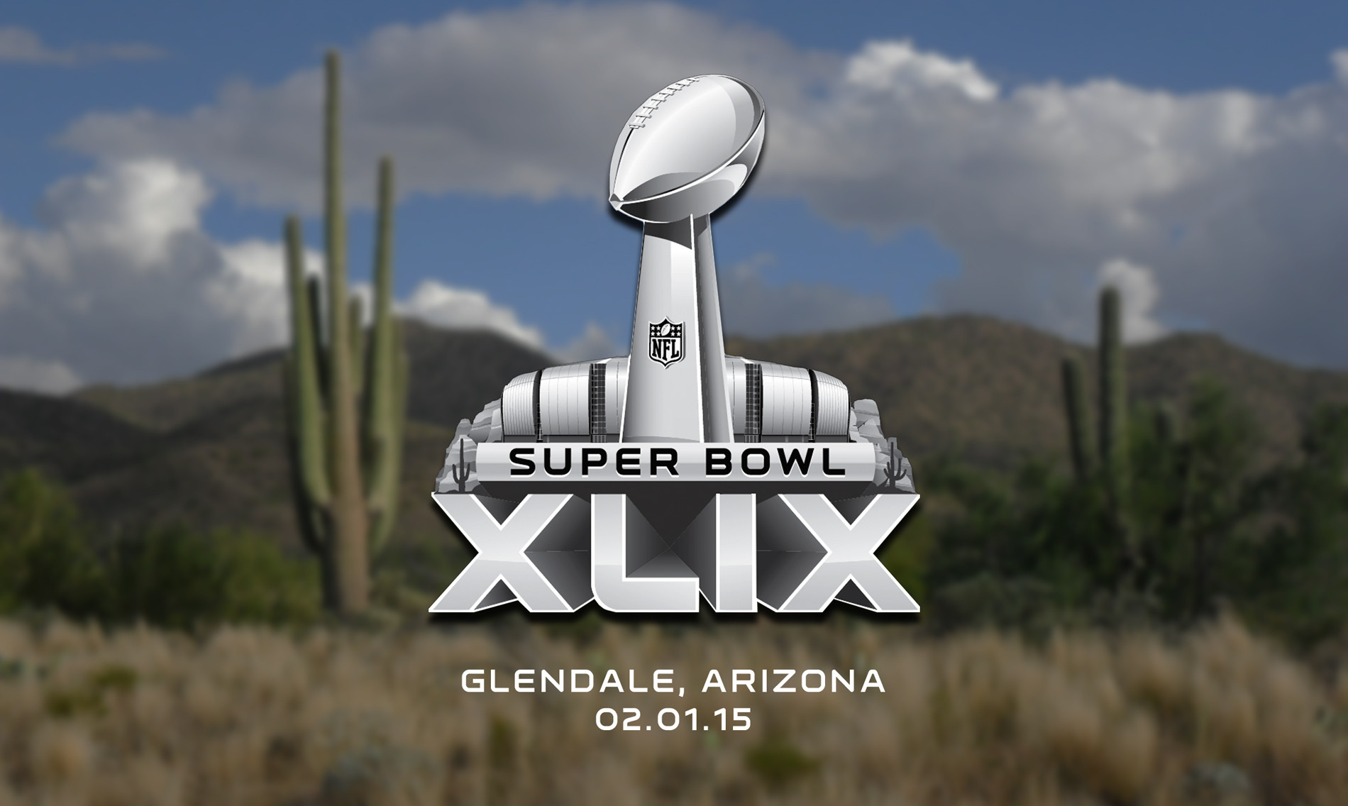 Official Super Bowl 49 AND 50 logos   Sports Logos   Chris Creamers