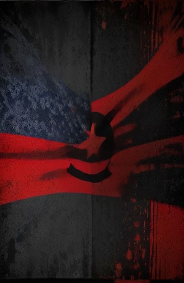 Rebel Flag Screensavers And Wallpaper
