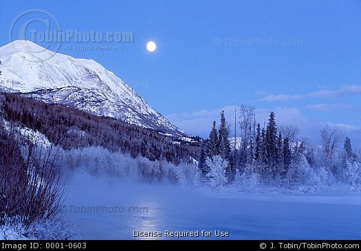 Alaska Winter