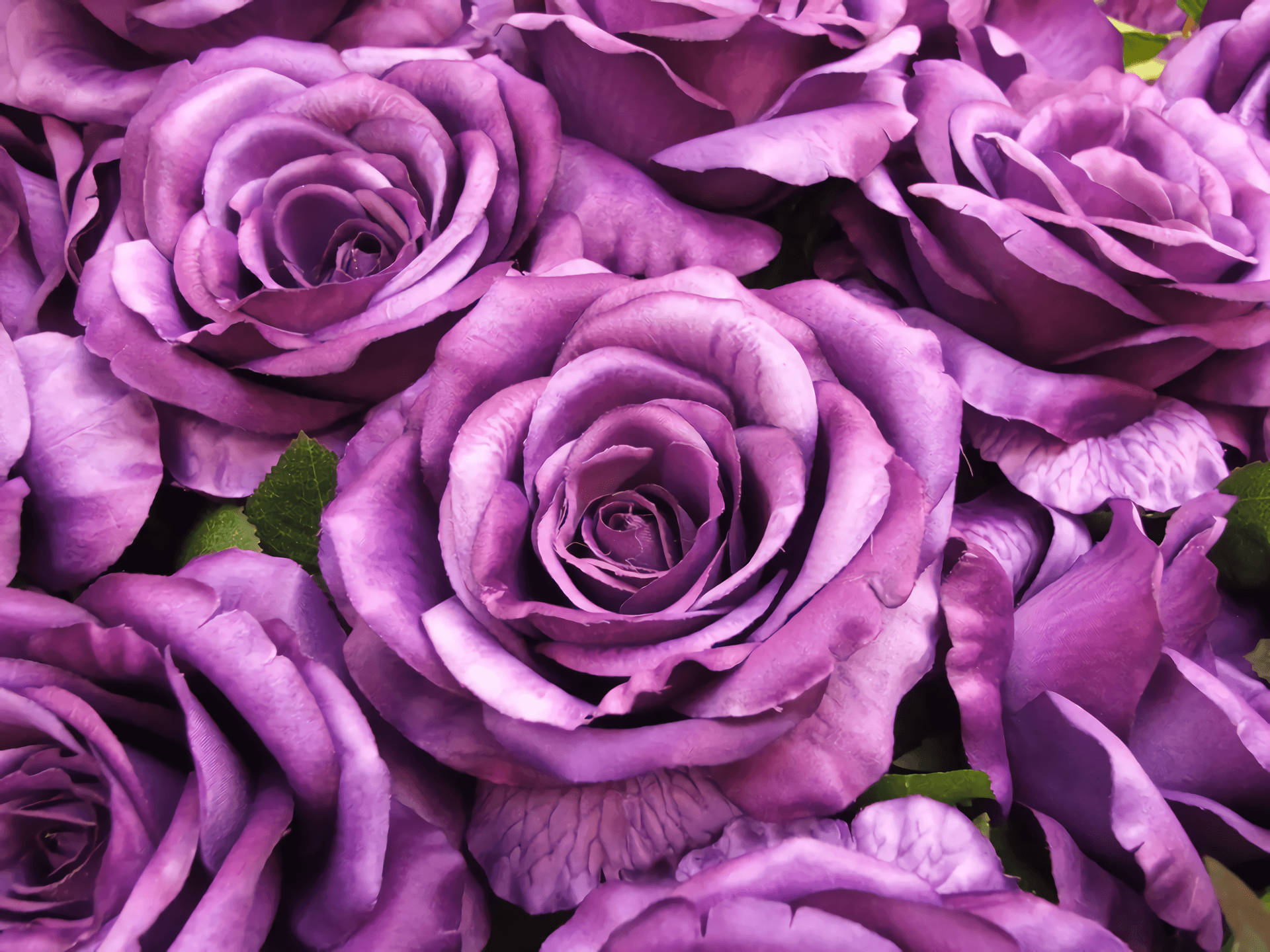 Purple Flower Desktop Wallpaper