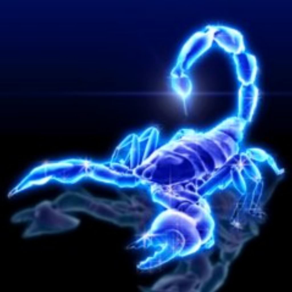 Fact Number One Is The Scorpions You See Actually Are Not Scorpion