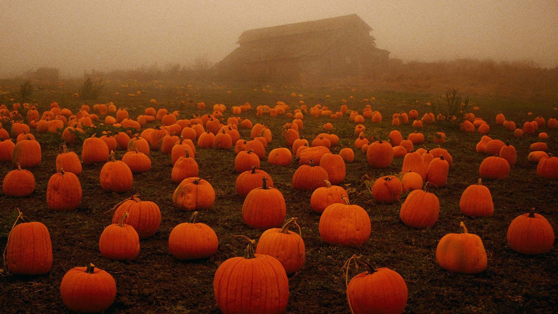 Halloween Background For Desktop Wallpaper