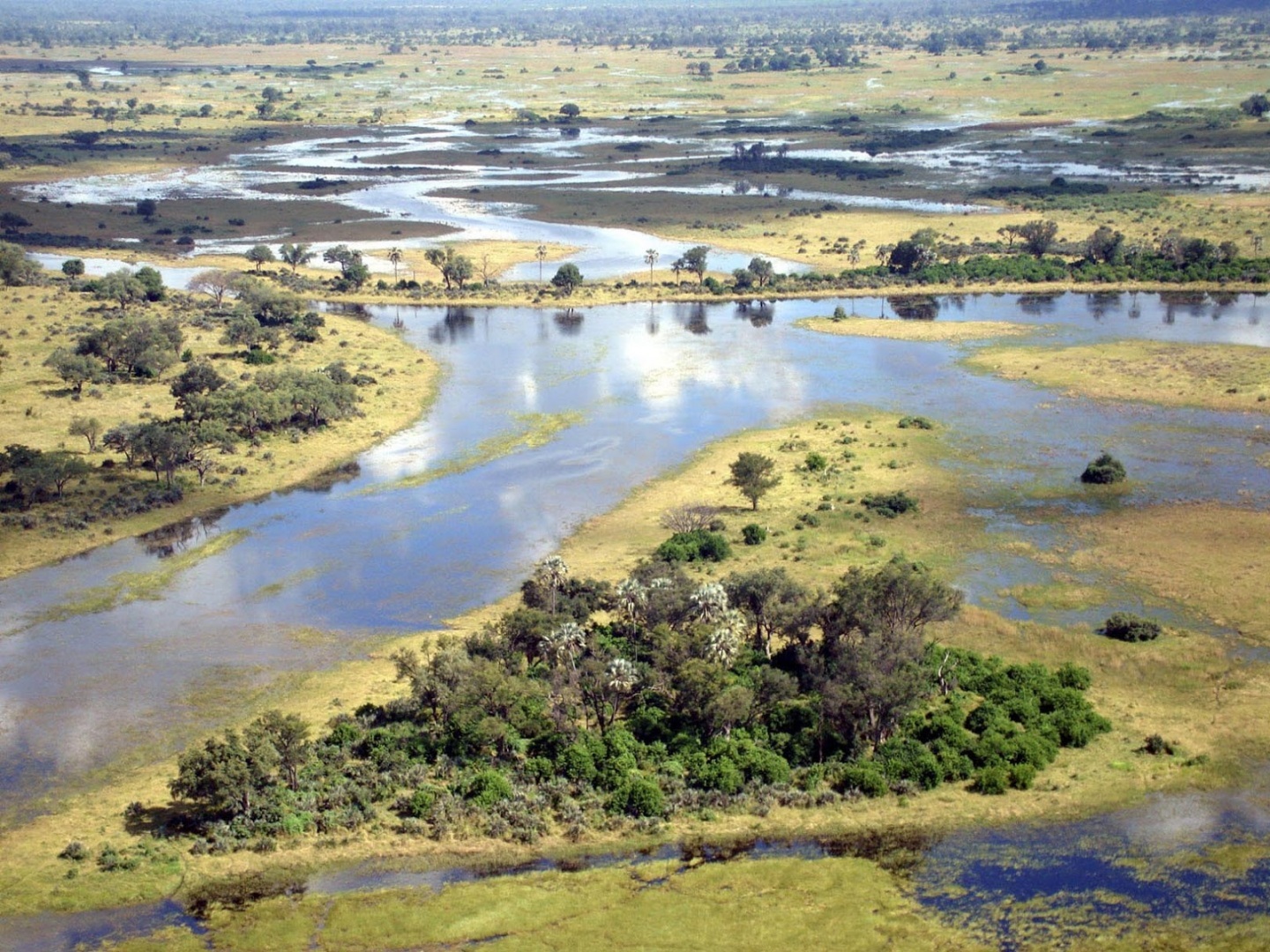 Okavango Bdelta Kalahari Bdesert Bbotswanaafrica Wallpaper