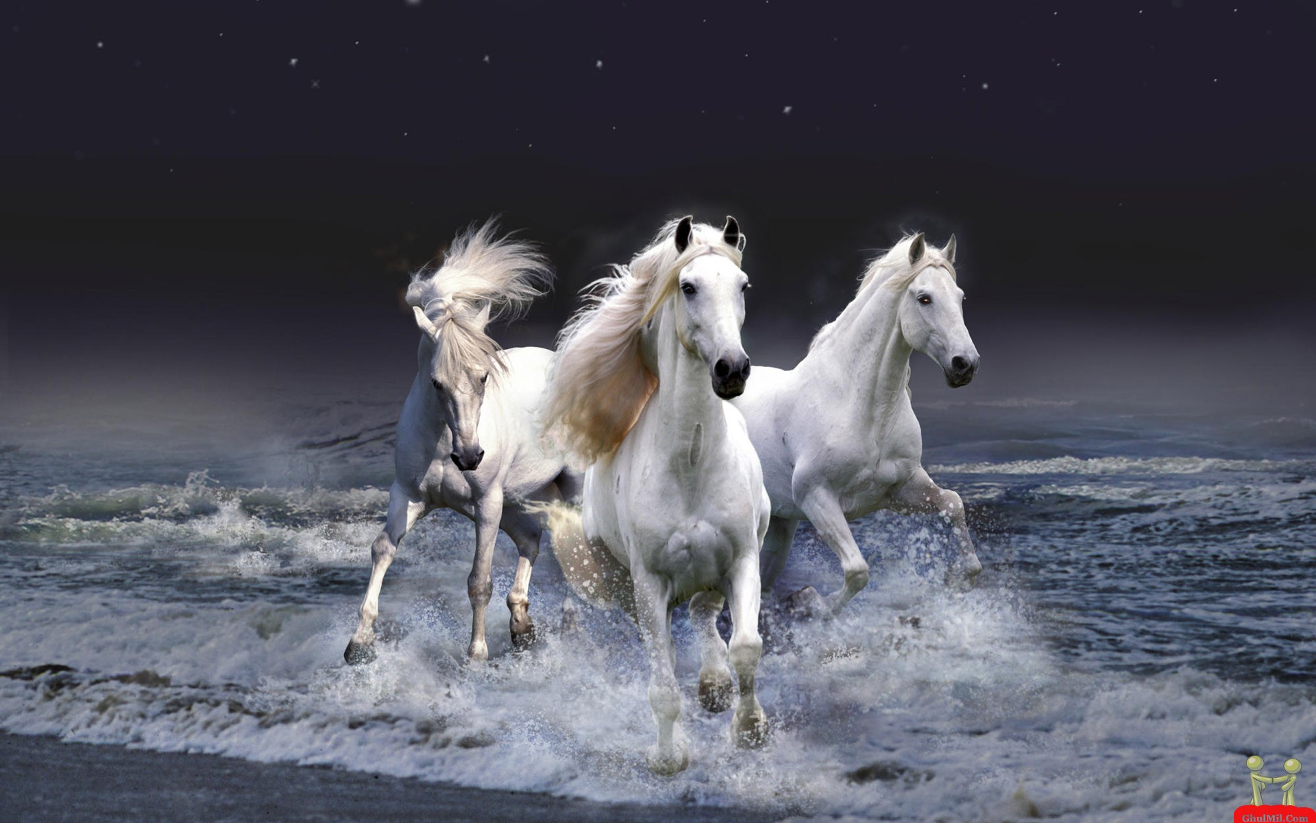 Horses Running In Ocean Waves HD Wallpaper E Entertainment 1920x1200
