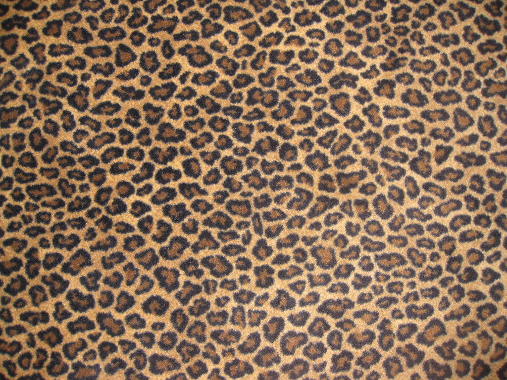 Leopard Print Wallpaper Desktop