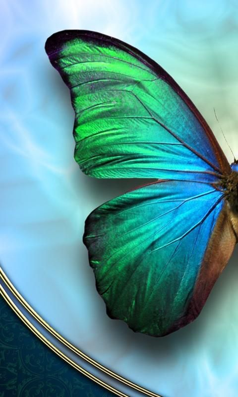 Butterfly HD Live Wallpaper