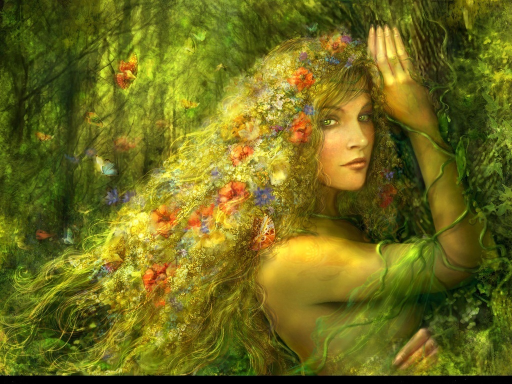 Nature Forest Fairy Background Wallpaper Here You Can See