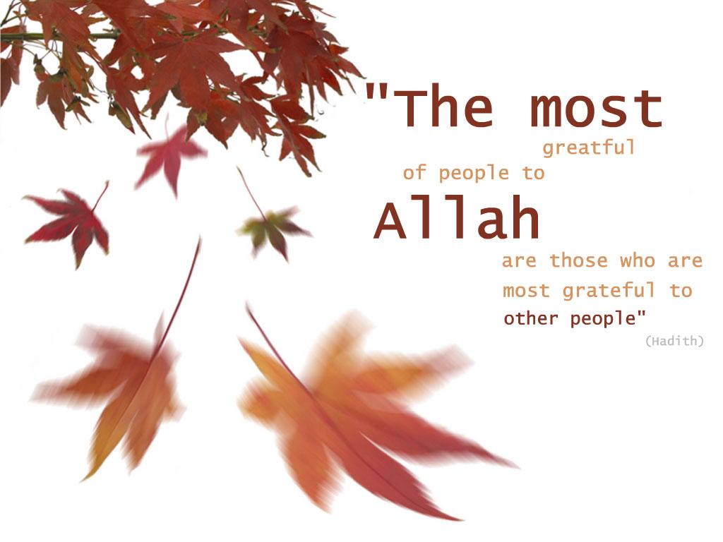 The Most Grateful   Nature   Islamic Wallpapers   A2Youthcom