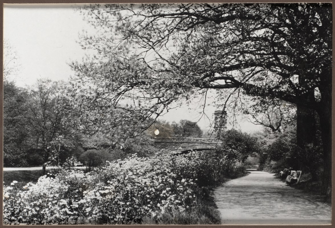 🔥 [29+] Longwood Backgrounds | WallpaperSafari