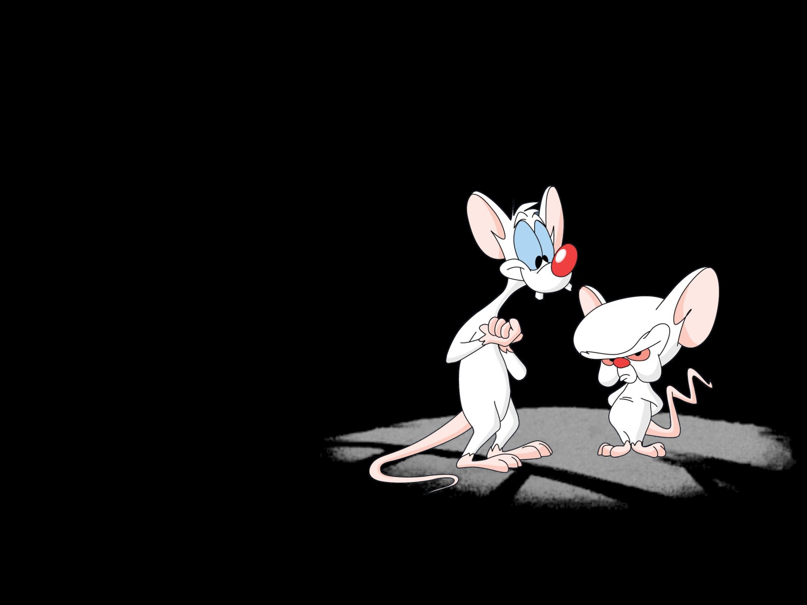 Pinky and the Brain Wallpapers Wallpaperholic