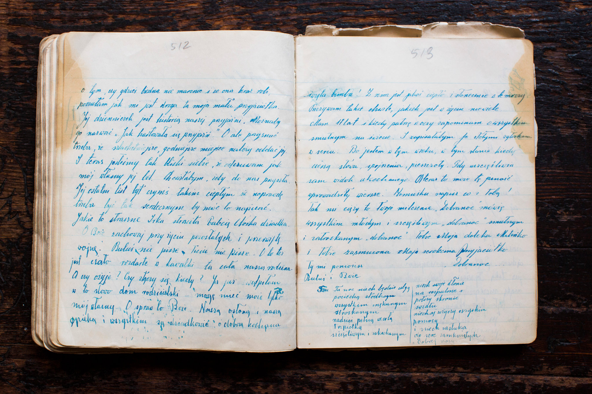 A Slain Jewish Girl S Diary Of Life Under The Soviets And