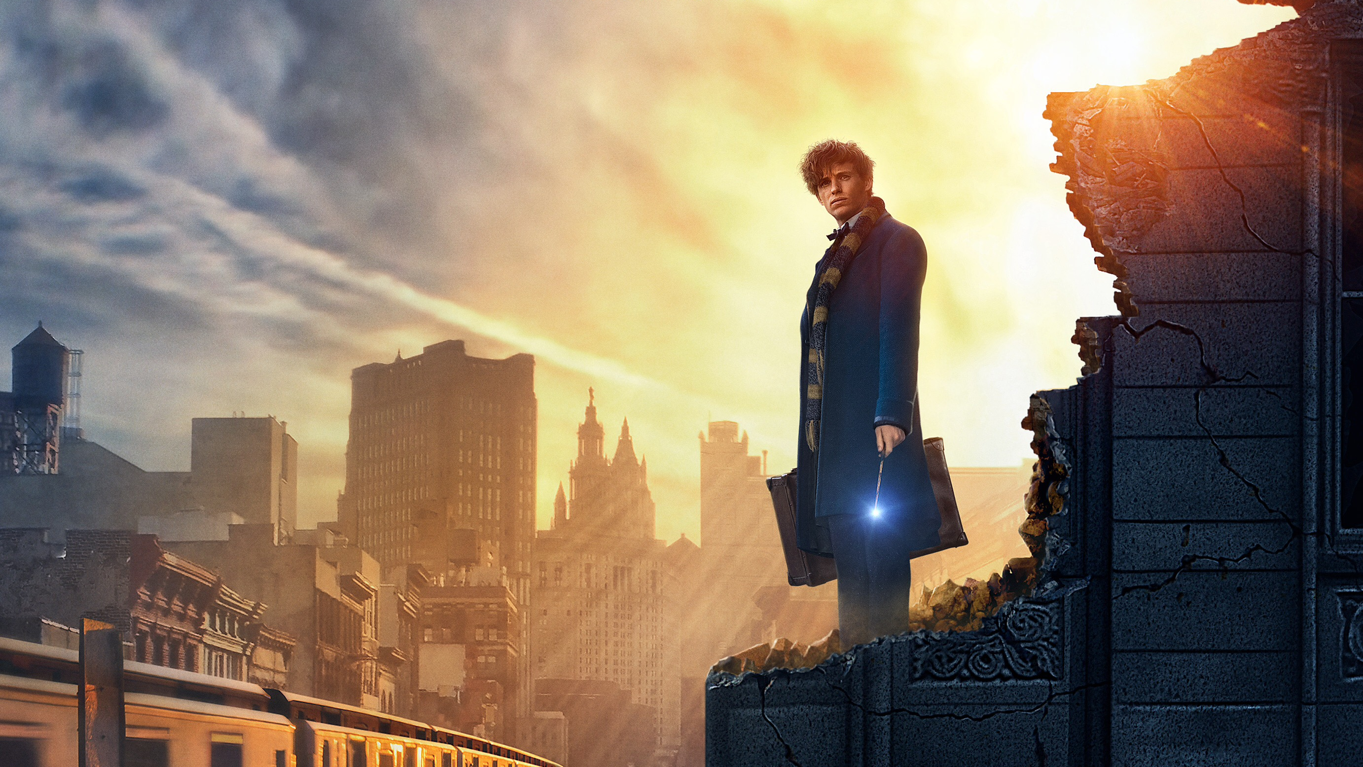 Fantastic Beasts And Where To Find Them Wallpaper On