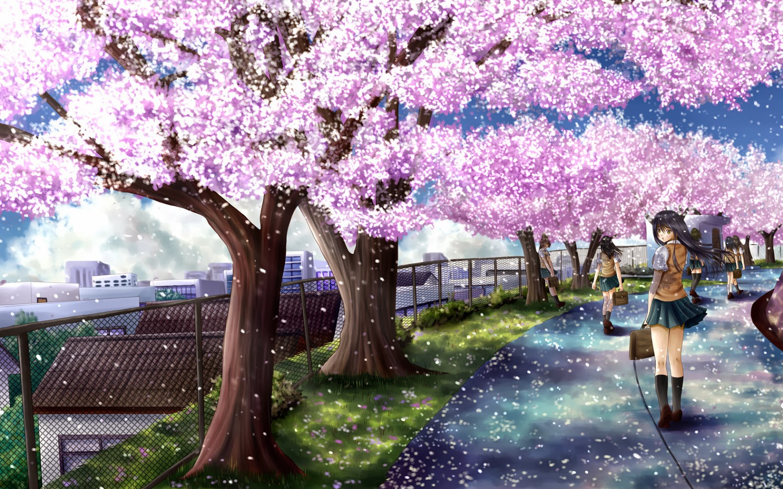 Hd Wallpaper Desktop Sakura Tree