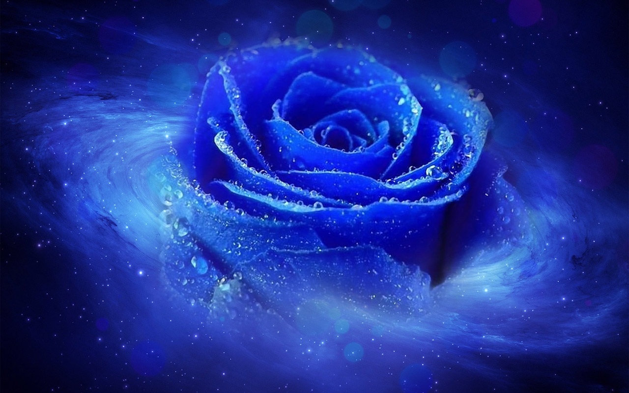 Wallpaper Cool Blue Rose Darkness Hd Love Desktop